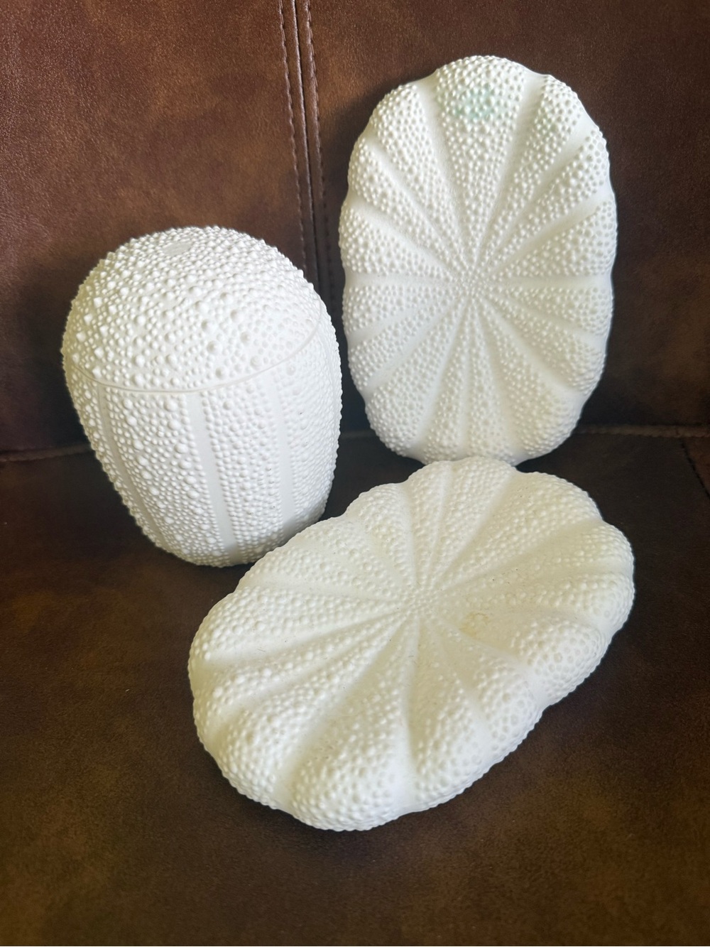Tommy Bahama Porcelain Sea Urchin soap dish and lidded box